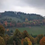 Dobrodziejnia *