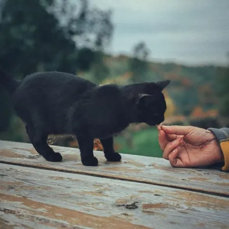 Dobrodziejnia Vakantieboerderij