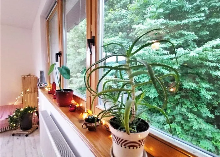 Dobrodziejnia * نوا رودا