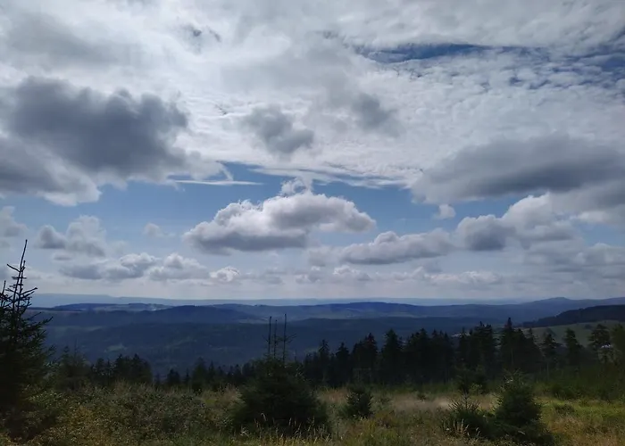 Dobrodziejnia Nowa Ruda