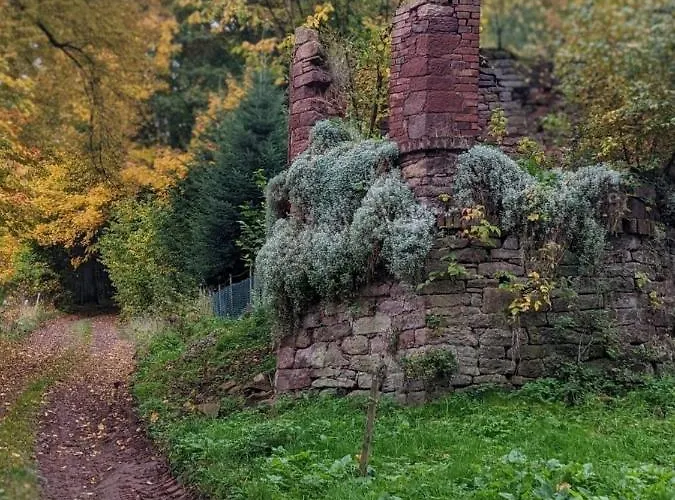 Dobrodziejnia * Nowa Ruda